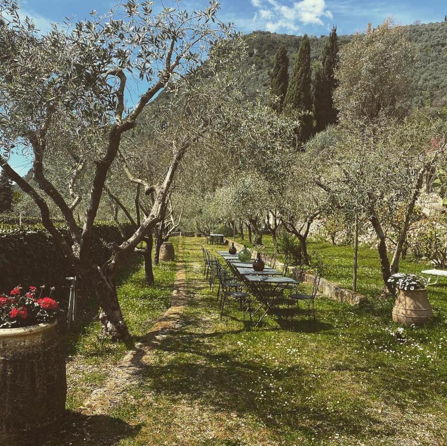 Sotto Il Cielo Di Toscana Appartamenti In Tenuta Only Adults No Pet กาไมโยเร ภายนอก รูปภาพ
