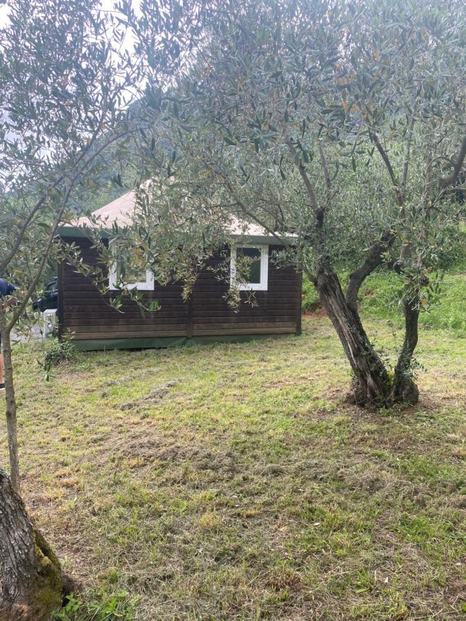 Sotto Il Cielo Di Toscana Appartamenti In Tenuta Only Adults No Pet กาไมโยเร ภายนอก รูปภาพ