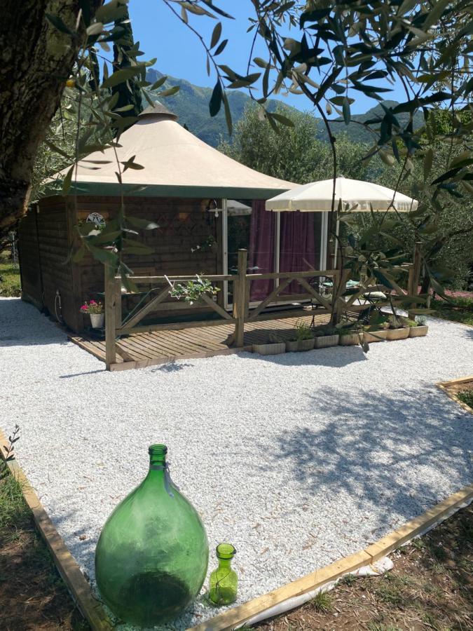 Sotto Il Cielo Di Toscana Appartamenti In Tenuta Only Adults No Pet กาไมโยเร ภายนอก รูปภาพ