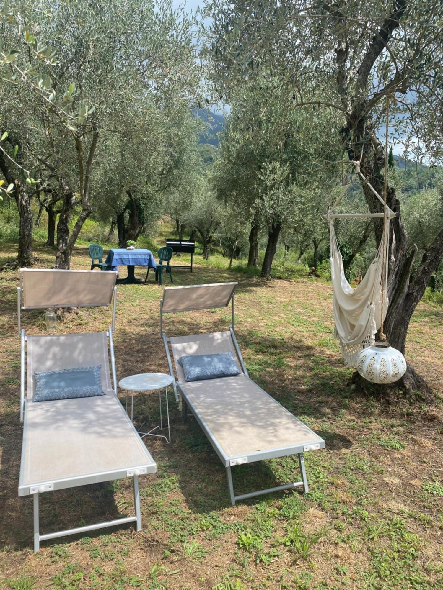 Sotto Il Cielo Di Toscana Appartamenti In Tenuta Only Adults No Pet กาไมโยเร ภายนอก รูปภาพ
